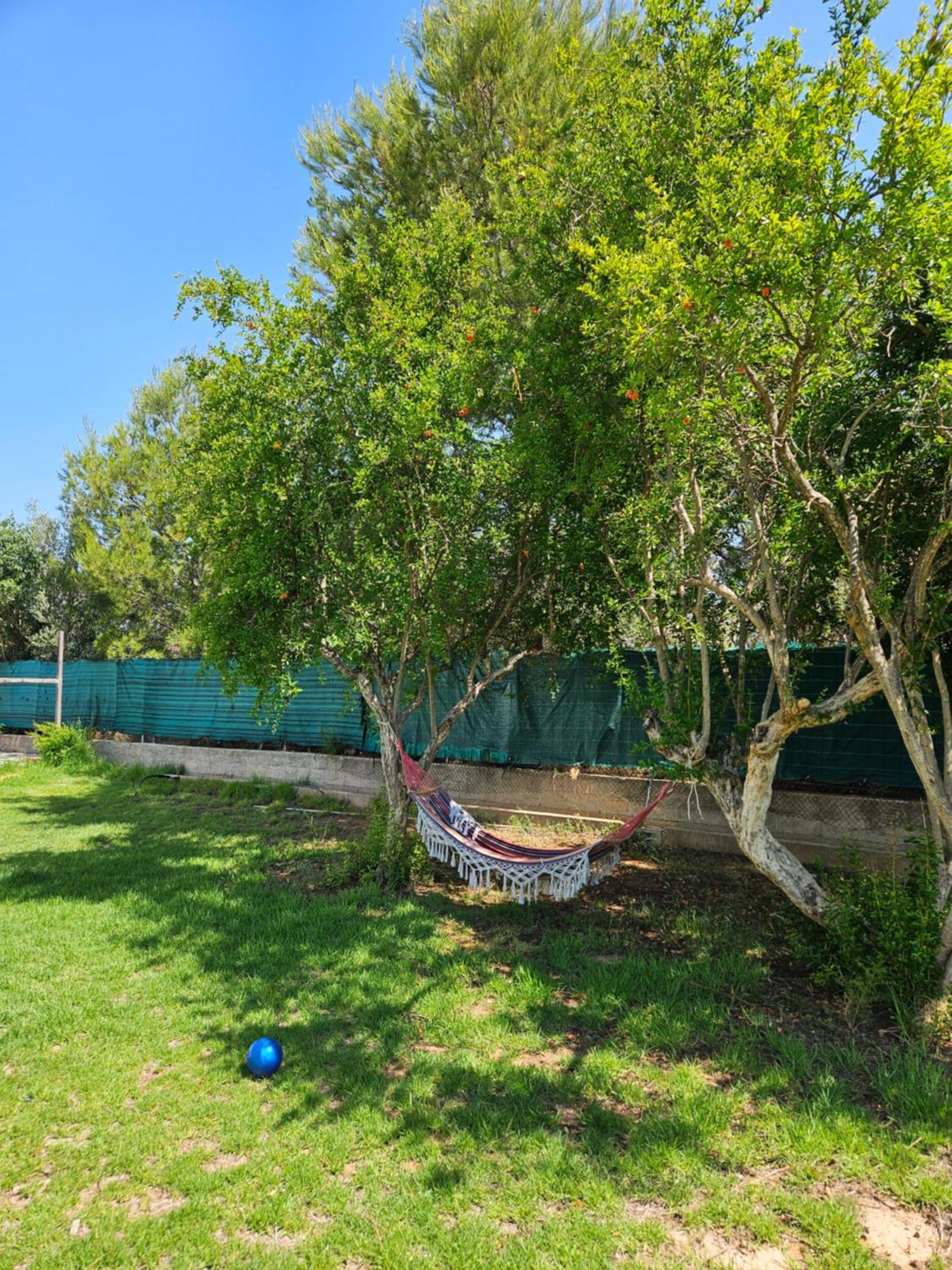 Large Yard, Large Lawn, Independent Villa Lliria Exterior photo